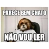 PARECE BEM CHATO NÃO VOU LER