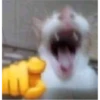 AAAAA 18