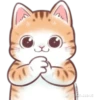 🐈G y S💞Michis 2🇨🇴🇲🇽Clásica 26