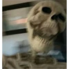 AAAAA 20