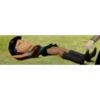bratz 7