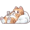 🐈G y S💞Michis 2🇨🇴🇲🇽Clásica 28