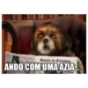 Gazeta de Coimbra ANDO COM UMA AZIA...