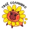 Пиби 27