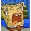 Bob esponja 26