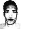trollge 24
