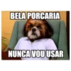 BELA PORCARIA NUNCA VOU USAR