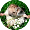 ? Hedgehog memes 6