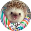 ? Hedgehog memes 7