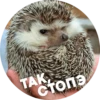 ? Hedgehog memes 12