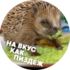 ? Hedgehog memes 14