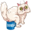 Pretty Cat 10