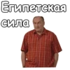 Воронины :: 6
