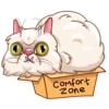 Pretty Cat 11
