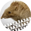 ? Hedgehog memes 15