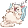 Pretty Cat 12