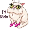 Pretty Cat 13