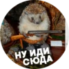 ? Hedgehog memes 16