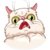 Pretty Cat 15