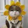Cats cats Cats 22