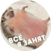 ? Hedgehog memes 24