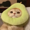 Cats cats Cats 27