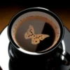 Espuma mariposa