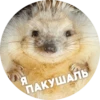 ? Hedgehog memes 27