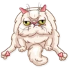 Pretty Cat 25