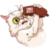 Pretty Cat 26