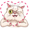 Pretty Cat 29