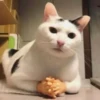 Not my animal by 4