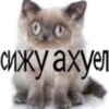 Стикеры тYт: 9