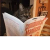 LITTLE MARX LIBRARY THE Communist Manifesto