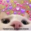 привет и с добрым утром