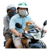 Vietnam Today 11