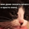 UtjJViq_by_achestickbot 9