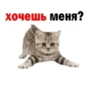 Стикеры тYт: 13