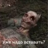 Mem 10