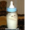 самоізоляція...