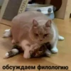 FATOBL обсуждаем филологию