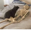 доброе утро, солнышко!!