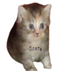 Стикеры тYт: 17
