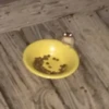 Not my animal by 19