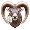 WWF Animals от 8