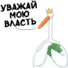 UtjJViq_by_achestickbot 21