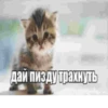 Стикеры тYт: 23