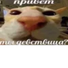 Стикеры тYт: 27