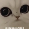 Стикеры тYт: 28