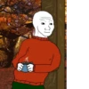 Sad Wojak 28
